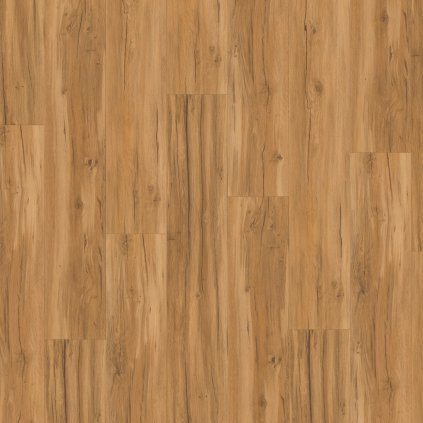 kompozitna podlaha parador basic 5 3 dub 1743003 vrchny pohlad