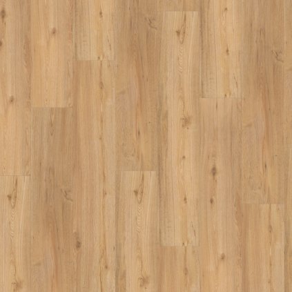 kompozitna podlaha parador basic 5 3 dub 1743004 vrchny pohlad