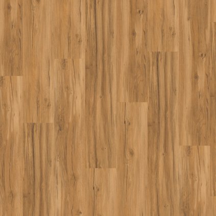 vinylova podlaha parador basic 30 dub 1649300 vrchny pohlad