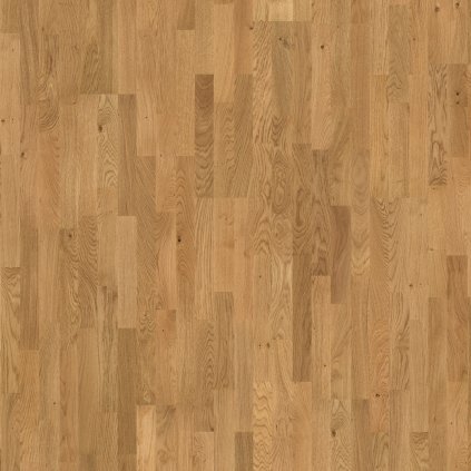 drevena podlaha parador basic 11 5 dub 1518245 vrchny pohlad