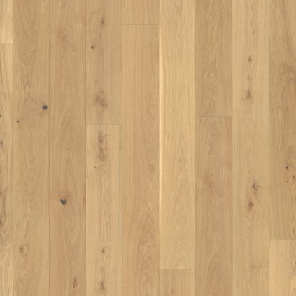 drevena podlaha parador basic 11 5 dub 1518261 vrchny pohlad