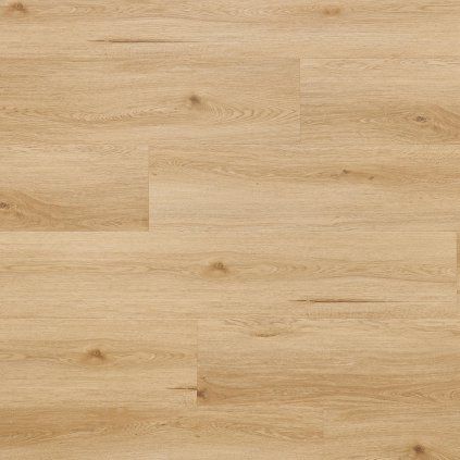 dub arvada 4541532 20759