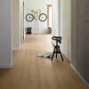 kompozitna podlaha parador basic 5 3 dub 1743008 v chodbe s bicyklom