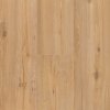 kompozitna podlaha parador basic 5 3 dub 1743004 detail dekoru
