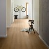 vinylova podlaha parador classic 2030 dub 1601385 v chodbe s bicyklom