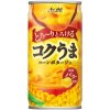 Asahi Beverage Rich Horse Corn Potage