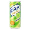 Sangaria Hajikete Melon Soda Drink 250ml