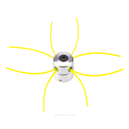 large 1