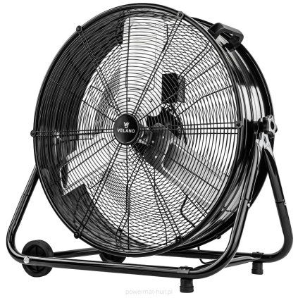 large 1