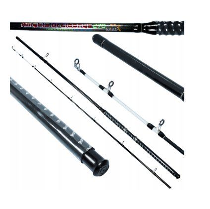 Sumcový prut 2,4 m / 100–200 g