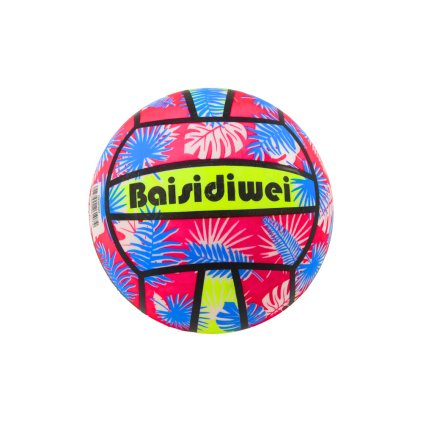 Gumový míč Jasný Listy Růžovo Modrá 24 cm