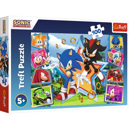 Puzzle - "100" - Poznej Sonica Trefl 16465