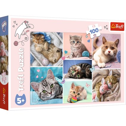 Puzzle - 100 - Ve světě koček - Trefl 16420