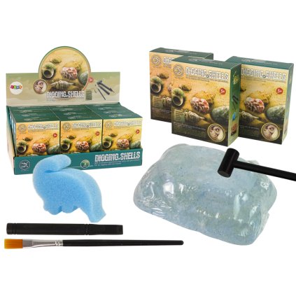 Sada Archeologické Vykopávky Mušle Tři Modely Překvapení