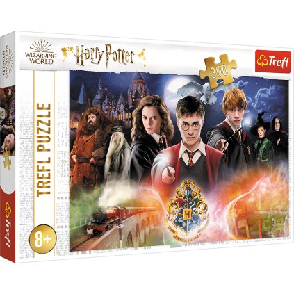 Skládanka Harry Potter 300 dílků - Tajemný Harry Potter 23001