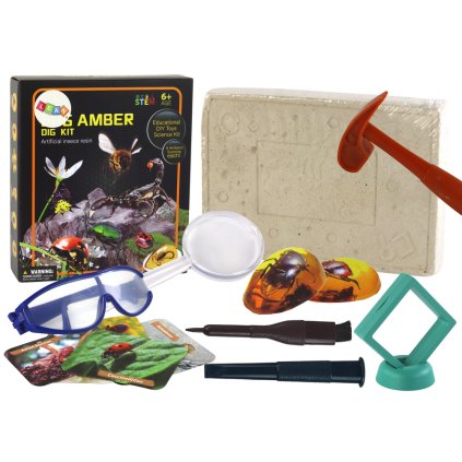 Archeologická Sada Vykopávky Hmyz v Jantaru