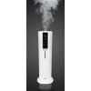 big 2 vapor steam