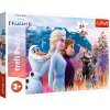 Puzzle - "24 Maxi" - Kouzelná výprava Frozen 2 Trefl 14298