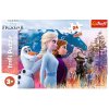 Puzzle - "24 Maxi" - Kouzelná výprava Frozen 2 Trefl 14298