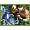 Puzzle - 4v1 - Nebezpeční dinosauři - Universal Jurassic World Trefl 34607