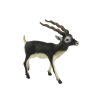 Sběratelská Figurka Antilopa Blackbuck Zvířata Světa