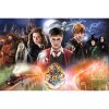 Skládanka Harry Potter 300 dílků - Tajemný Harry Potter 23001