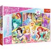 Puzzle - 24 Maxi - Kouzlo vzpomínek - Disney Princezny 14294