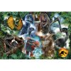 Puzzle 300 - Oblíbení dinosauři - Universal Jurassic World 23013
