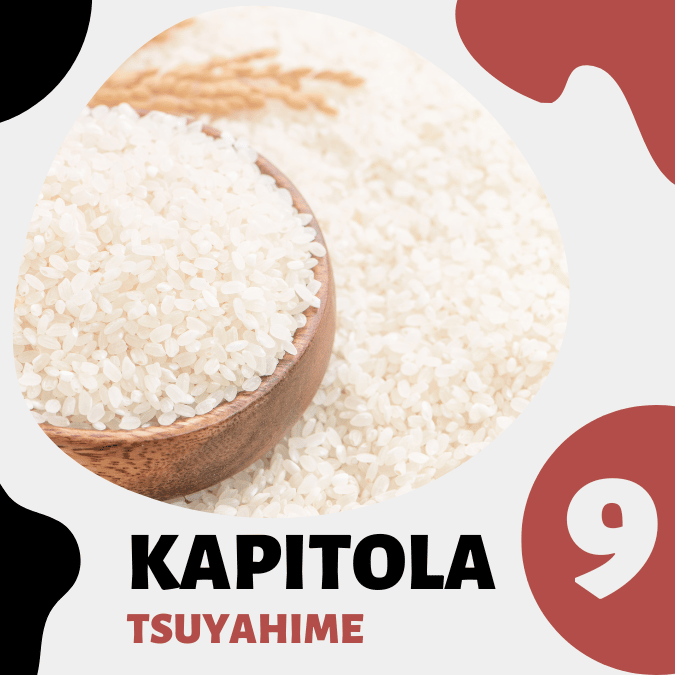 9. kapitola: Tsuyahime