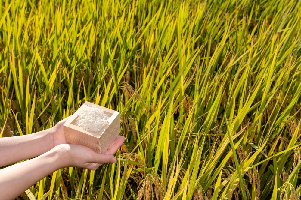 Jak se dožít dlouhého věku?