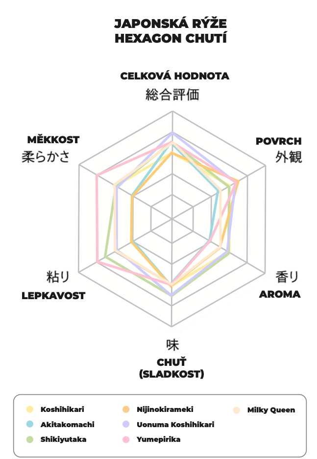 hexagon_chuti_1