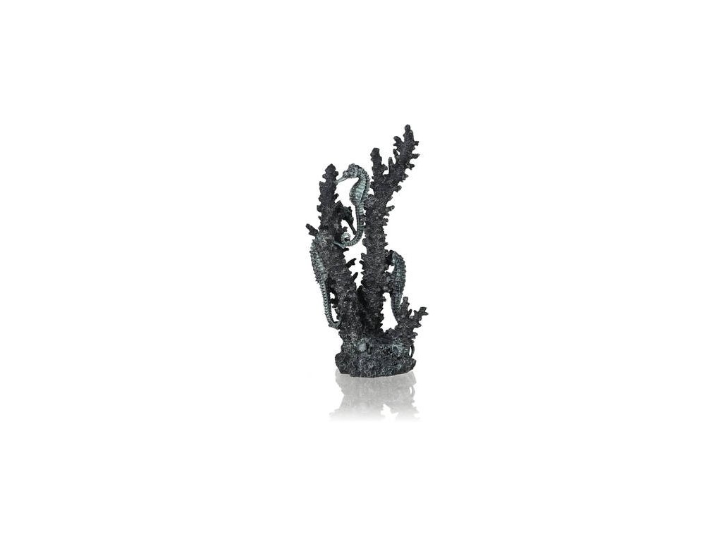 4620 7621 biorb morsti konici na koralovem utesu m cerna seahorses on coral black m 55062
