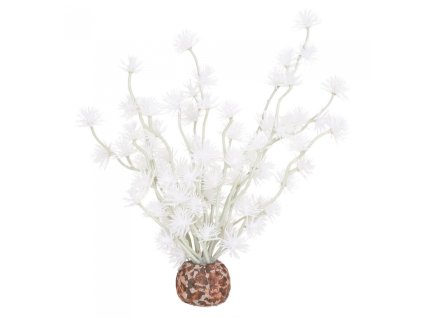 4626 7630 biorb dekorativni rostlina bila biorb bonsai ball white 55068