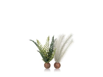 4633 7640 biorb dekorativni kapradiny seda a zelena s thistle fern grey green s 55075