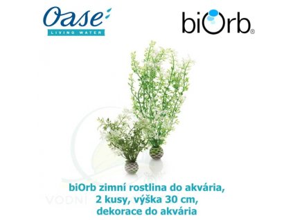 3640 6198 biorb zimni rostlina do akvaria 2 kusy vyska 30 cm dekorace do akvaria