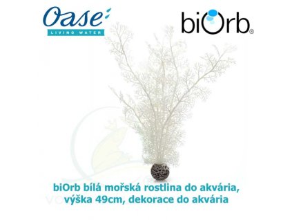 3674 6256 biorb bila morska rostlina do akvaria vyska 49cm dekorace do akvaria