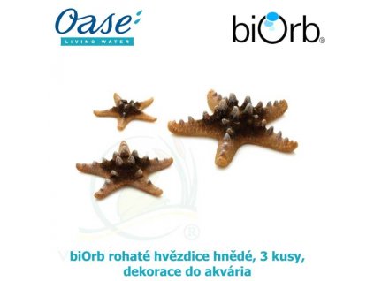 3688 6273 biorb rohate hvezdice hnede 3 kusy dekorace do akvaria