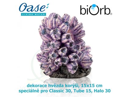 4457 7411 biorb dekorace hvezda s korysi vyska 15 cm sirka 15 cm dekorace do akvaria 48359