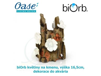 3625 6165 biorb kvetiny na kmenu vyska 16 5cm dekorace do akvaria