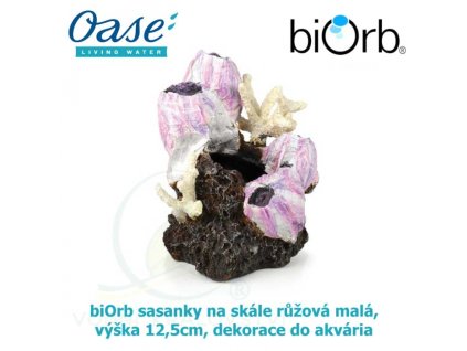 3627 6170 biorb sasanky na skale ruzova mala vyska 12 5cm dekorace do akvaria