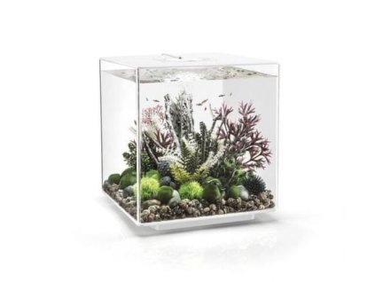 4600 7593 biorb cube 30 led white 72018