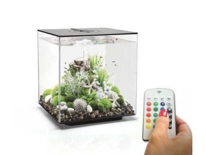 4608 7601 biorb cube 60 mcr black 72026