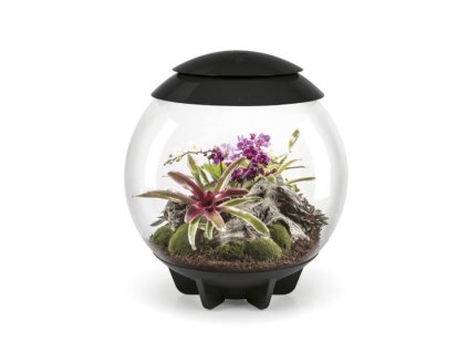4647 7664 oase biorb air 60 black terarium cerne 60 l 72557