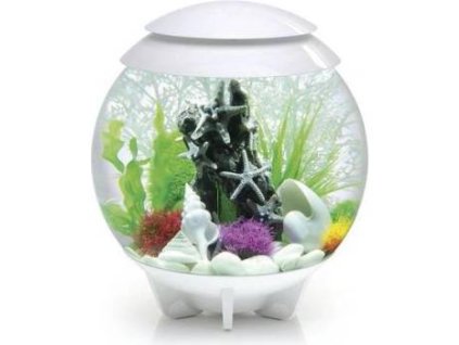 9fc9aceb f66a 4229 8c3c 42eb3525960f