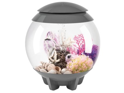 52be889e e651 5afe a8ed 70db8b454eaa