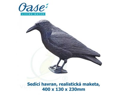 4058 6726 sedici havran realisticka maketa 400 x 130 x 230mm