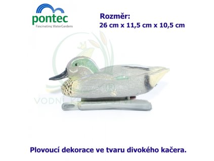 1829 4144 teal drake