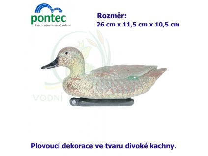 1830 4145 teal female