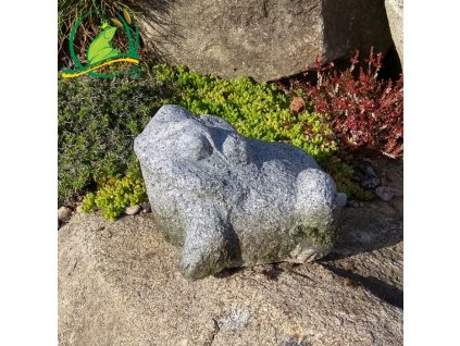 4393 7293 zaba mala seda zula sirka 16 cm vyska 16 cm delka 26 cm