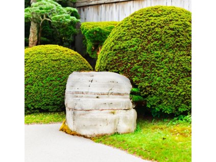 5081 8623 onix bily 1